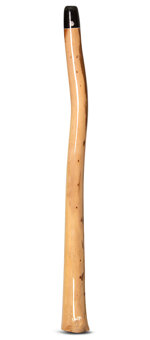 Wix Stix Didgeridoo (WS104)